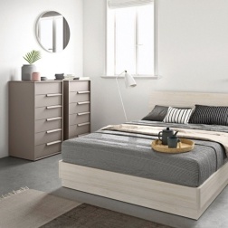 Settimino Bonn Cinquanta3